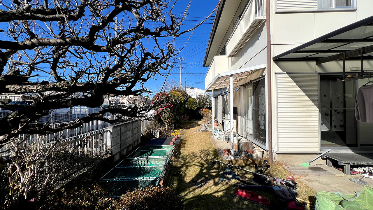 埼玉県春日部市 庭木剪定（ロウバイ・五葉松・モチノキ等）造園メンテナンス