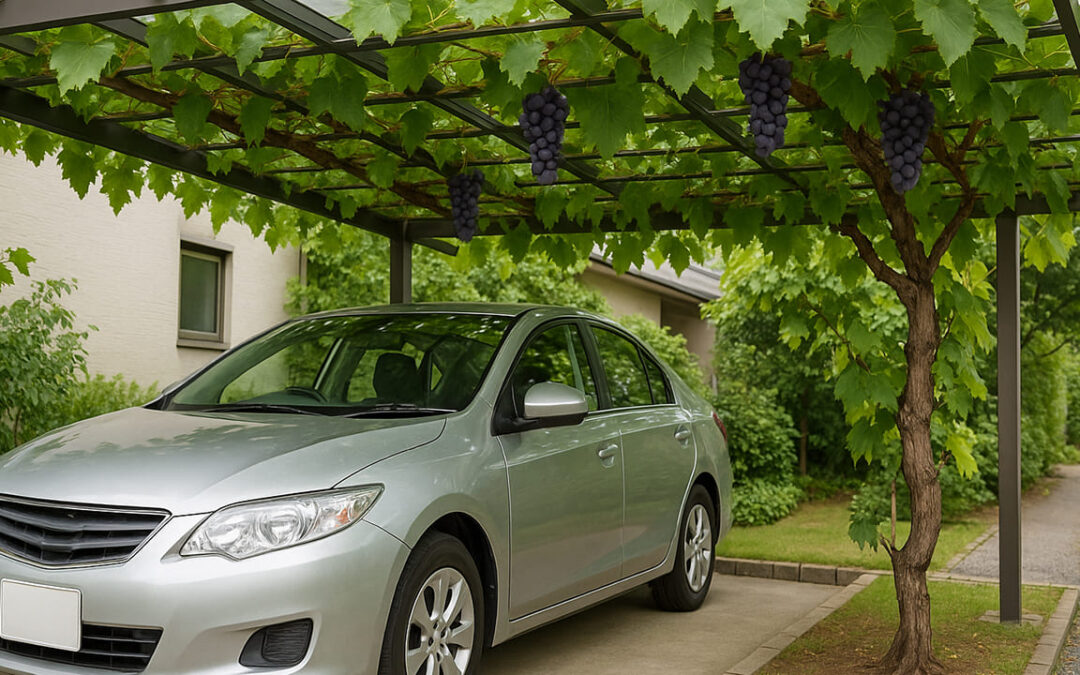 カーポートでぶどう栽培を楽しむ暮らし：ブドウ棚の作り方から育て方まで徹底解説