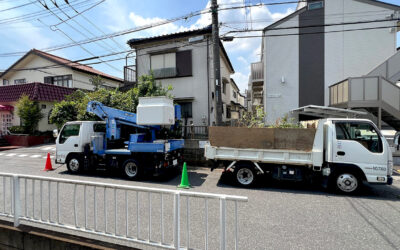 埼玉県草加市 高所作業車を使った特殊伐採