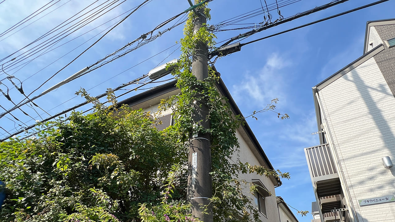 ビフォー