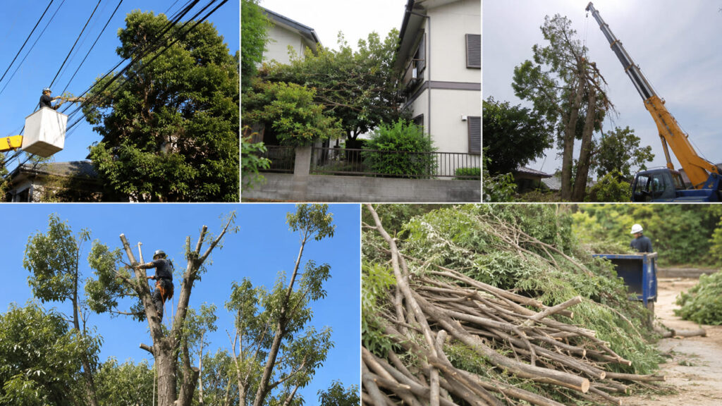 実際の現場で費用が上がるケース