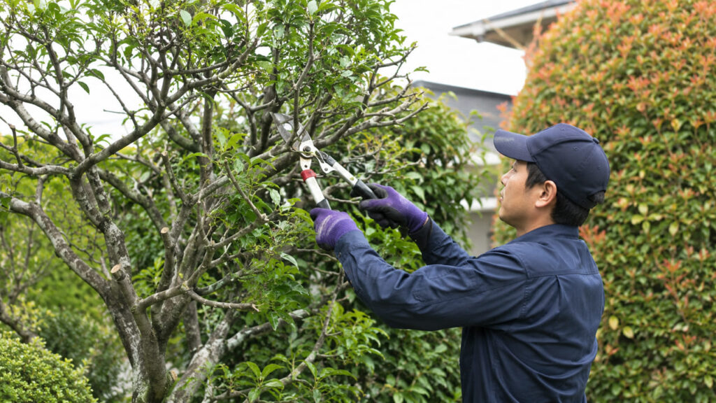 失敗しない剪定業者選びのチェックポイント　安さだけを売りにしていないか