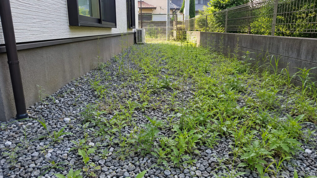 失敗事例① 防草シートを敷かなかったため雑草だらけになった